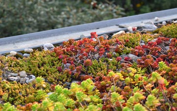 the cost of Leamore green roof installation