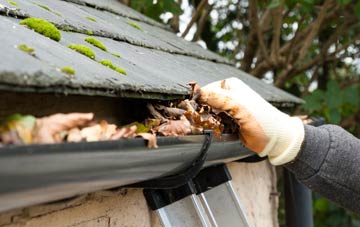 gutter cleaning Leamore, West Midlands